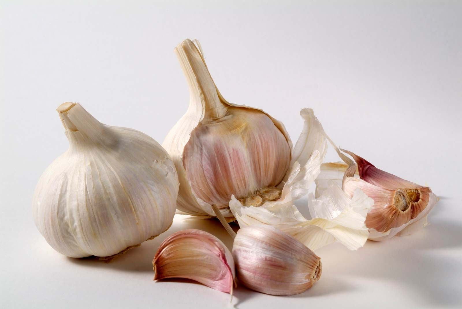 Bulbs-cloves-garlic