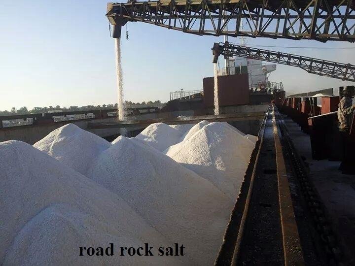 WhatsApp Image 2025-12-22 at 1.57.37 PM