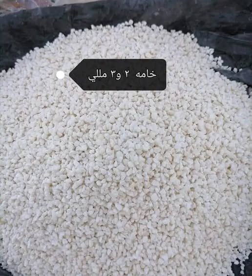 WhatsApp Image 2025-12-22 at 12.36.12PM