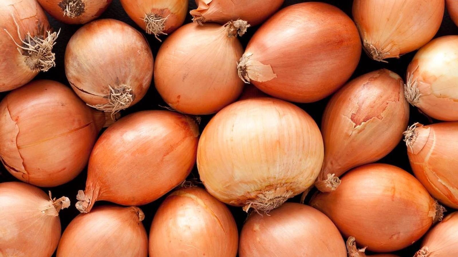 types-of-onions